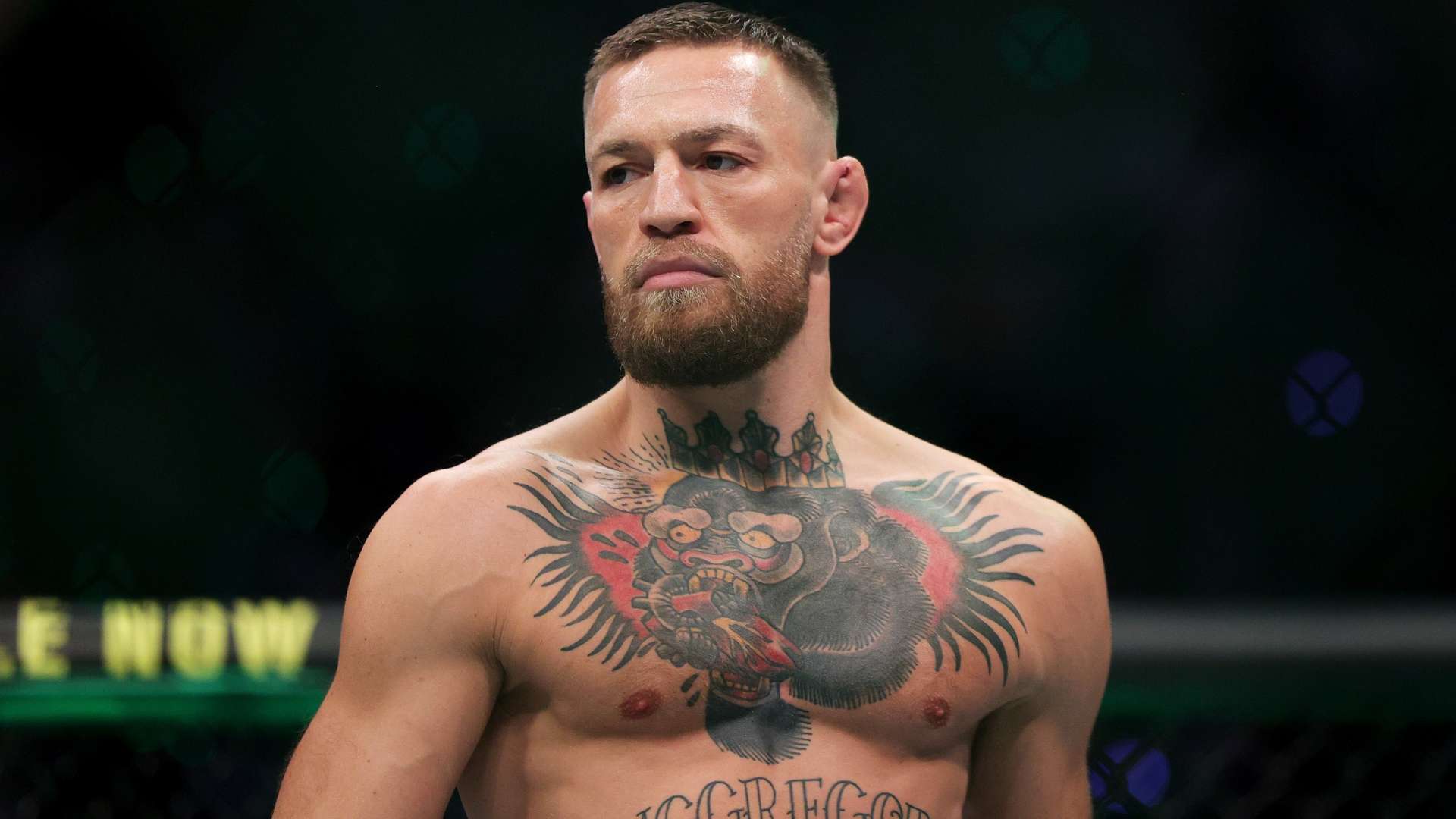 這一刻的獨 這一刻的獨