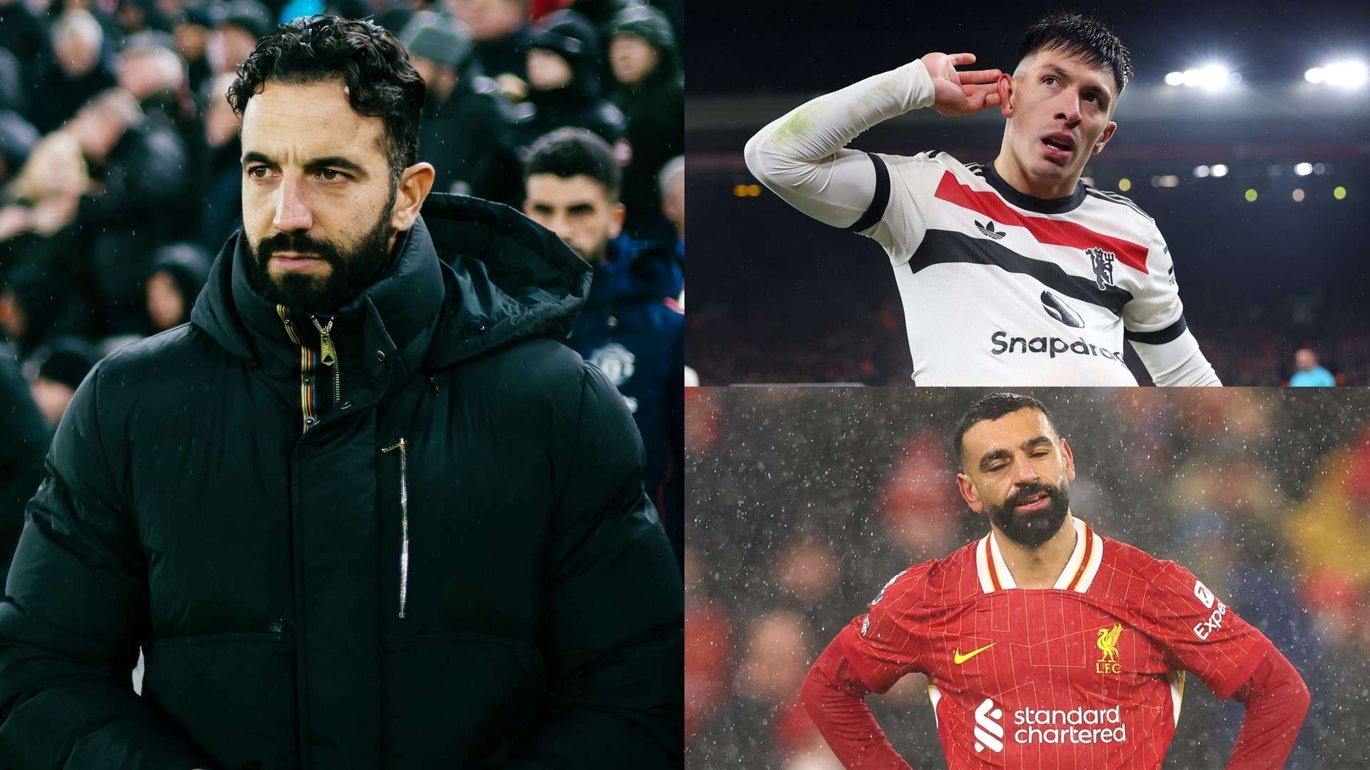 这些案例无 这些案例无